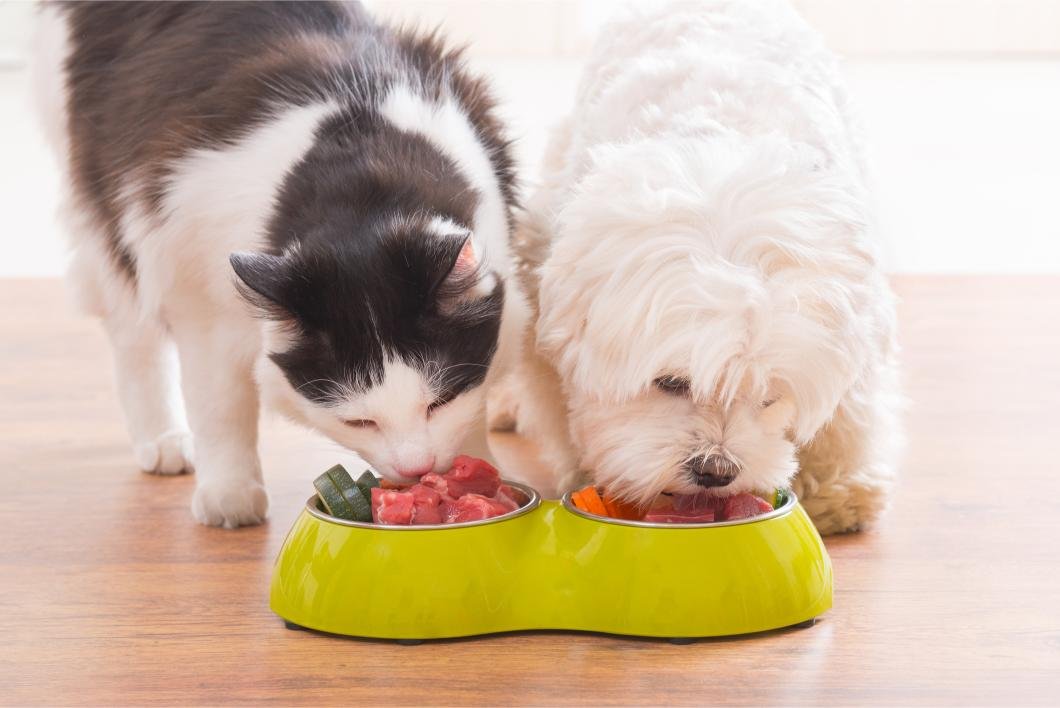 Pet Nutritionist